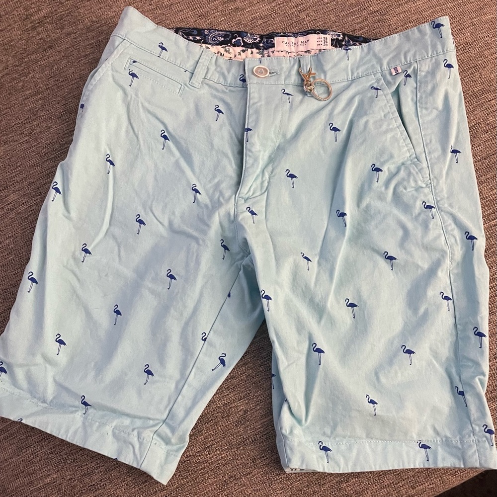 Flamingo shorts